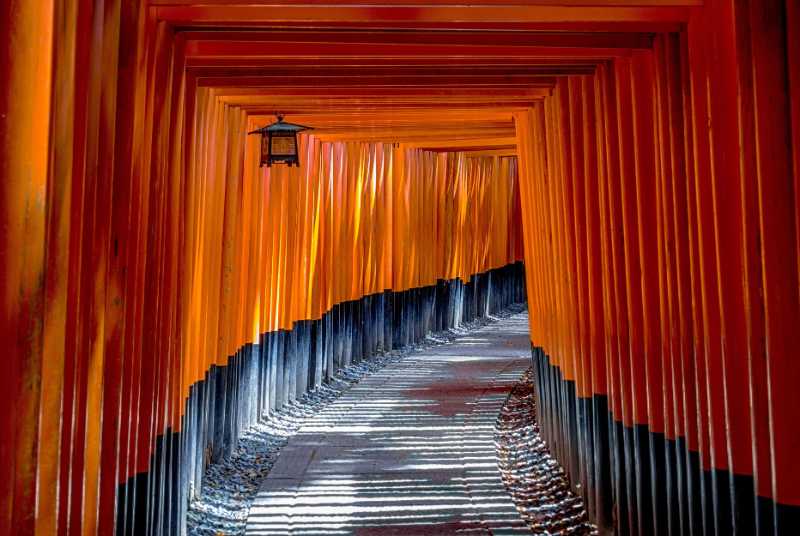 fushimi inari shrine torii temple - jigsaw puzzle