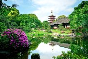 Garden in Sensoji Temple Tokyo - jigsaw puzzle