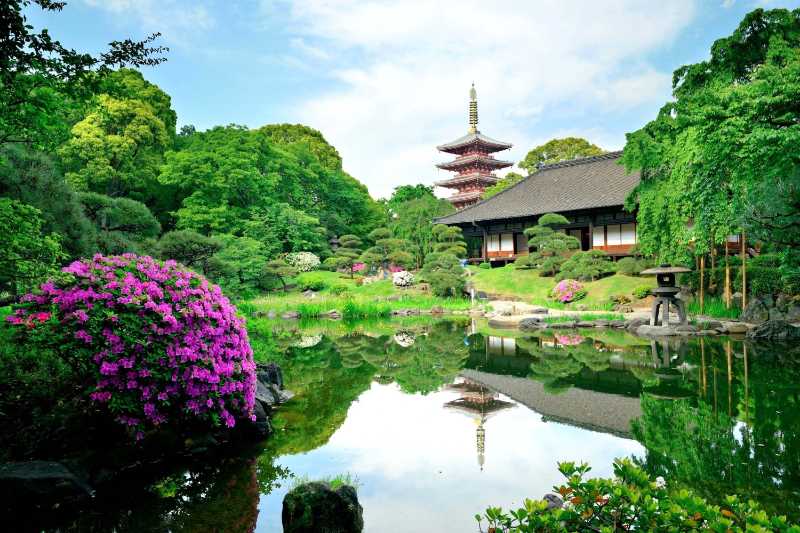 Jardín del Templo Sensoji de Tokio