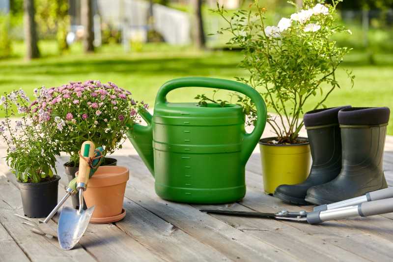 Gartengeräte Blumensetzlinge und Gummistiefel
