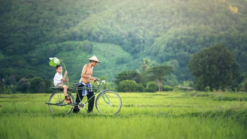 Grandfather and Grandson on Vintage Bicycle in Rice Field