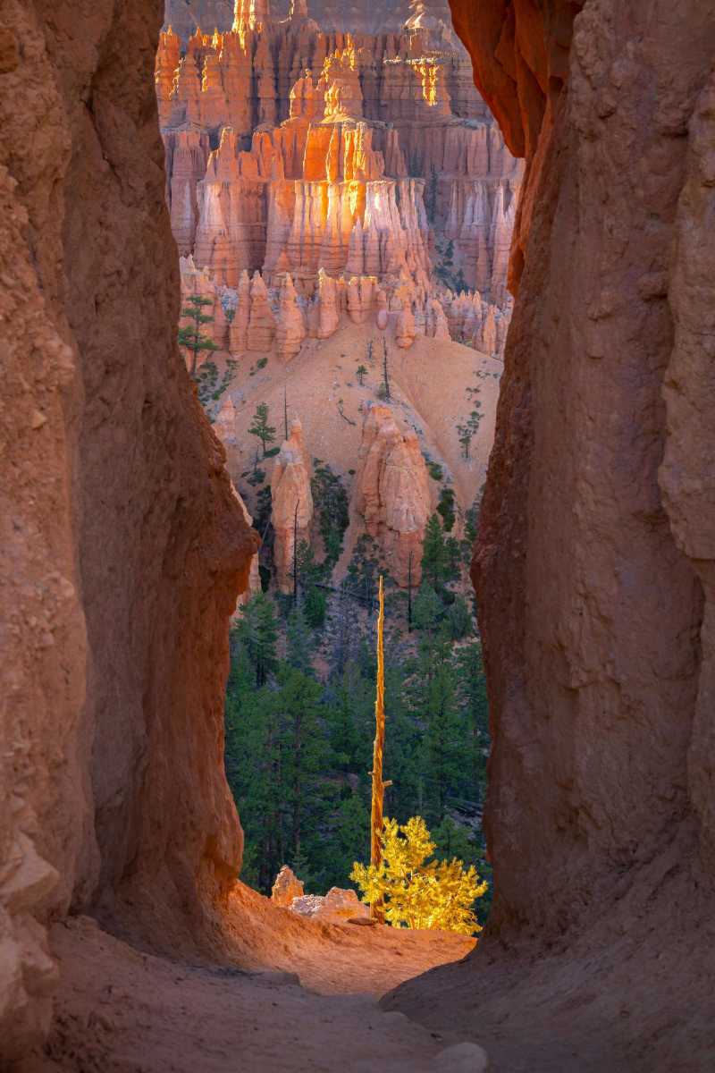 stunning bryce canyon hoodoos at sunrise - jigsaw puzzle