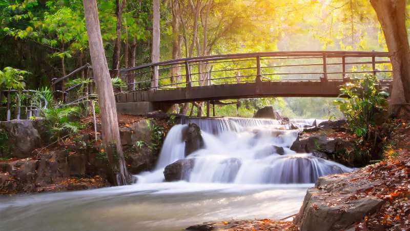 Nature landscape waterfall and bridge in the forest