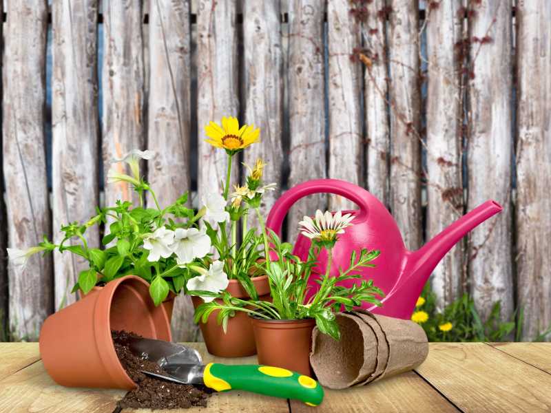 봄꽃 정원 가꾸기에 필수적인 가정 심기 및 화분 도구