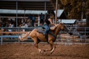 horse rider rodeo cowboy show - jigsaw puzzle