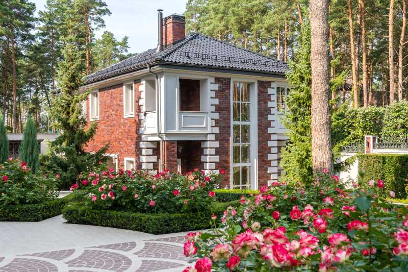 House near plants and trees with flowers in backyard