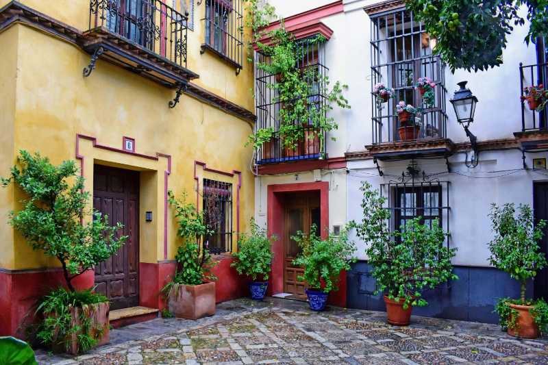 Casa con plantas verdes cerca de la puerta y ventanas