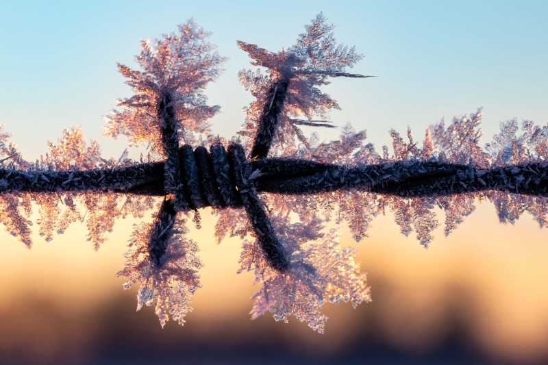 Ice crystals on barbed wire