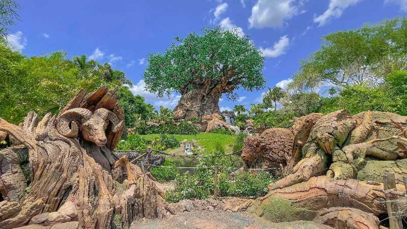 Iconic Tree of Life at Disney's Animal Kingdom Park
