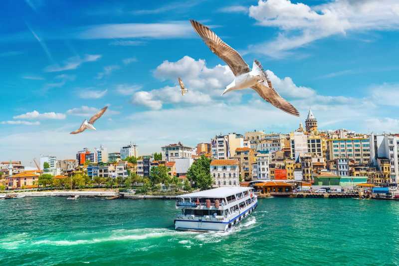 Istanbul City Cruise with Galata Tower and Flying Seagulls