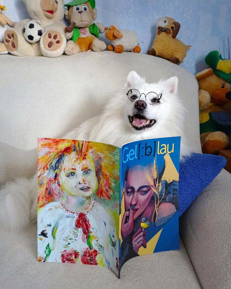 Japanese Spitz Reading a Book