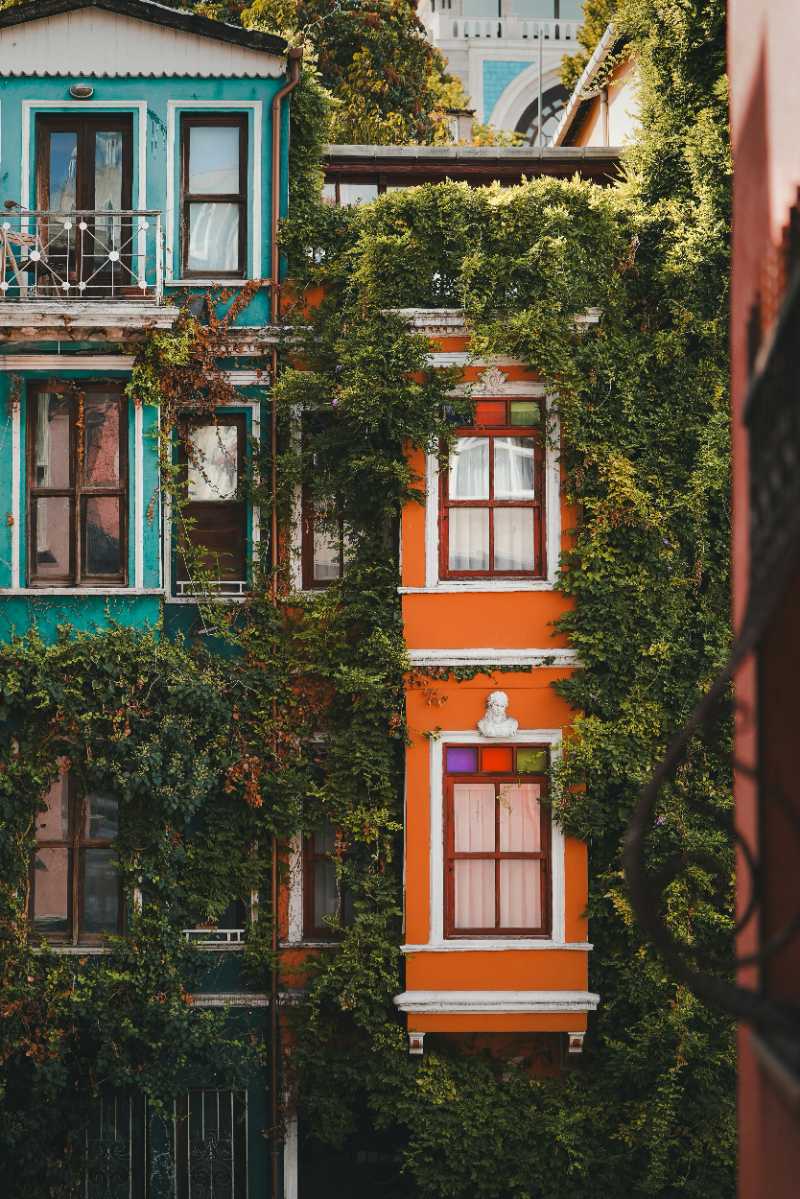 an orange and blue building with vines growing on it - jigsaw puzzle