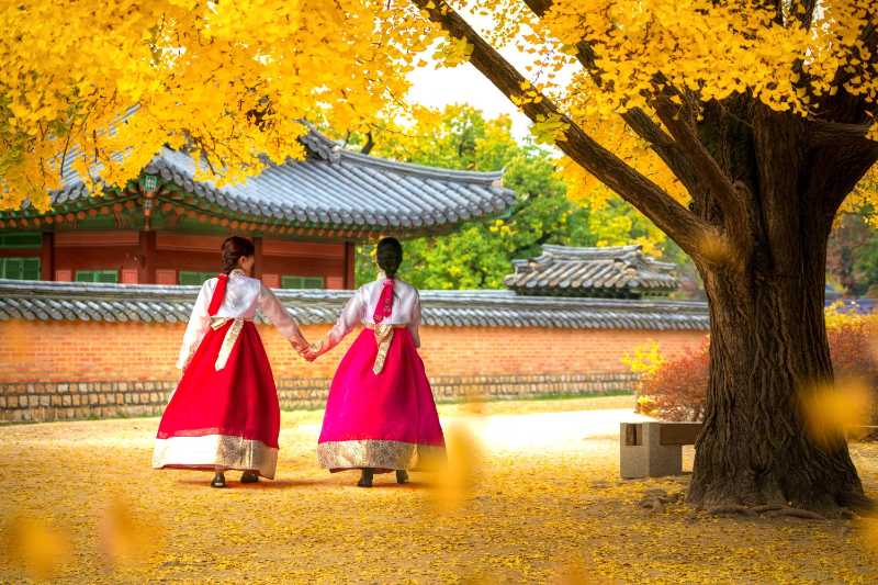 身着韩服的女士们在公园宫殿散步