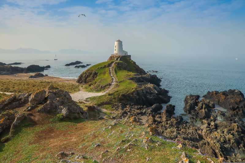 lighthouse coast sea tower - jigsaw puzzle