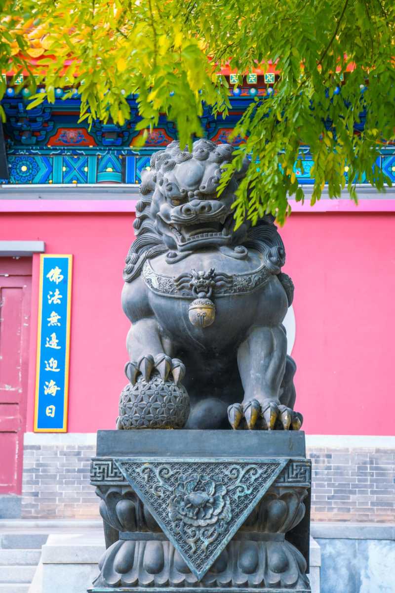 Statue de lion devant le bâtiment