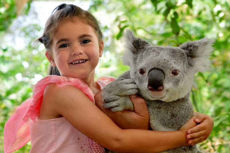 Little girl hugs Koala