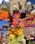 Llamas in Machu Picchu - jigsaw puzzle