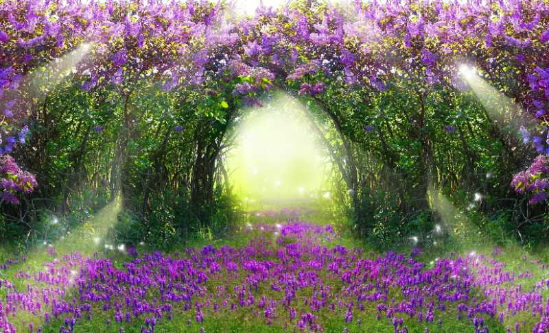 magic forest with roadbeautiful spring landscapelilac trees - jigsaw puzzle