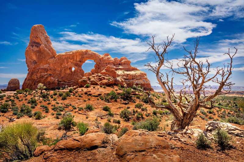 Majestic Landscape of Arches National Park