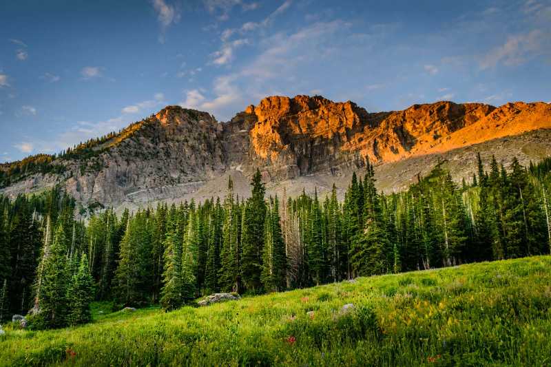 photo of trees and mountain - jigsaw puzzle