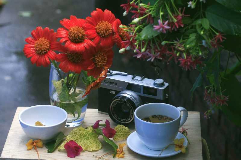 Vintage camera beside a cup of coffee and vibrant flowers outdoors