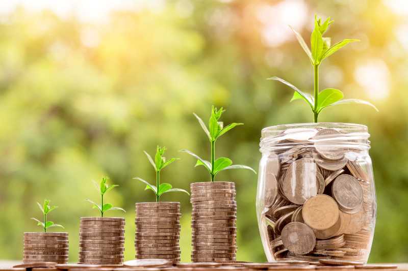 Money Growth and Investment Concept Stacks of Coins with Growing Plants