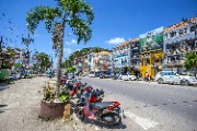 Motorcycles Parked Near a Palm Tree - jigsaw puzzle