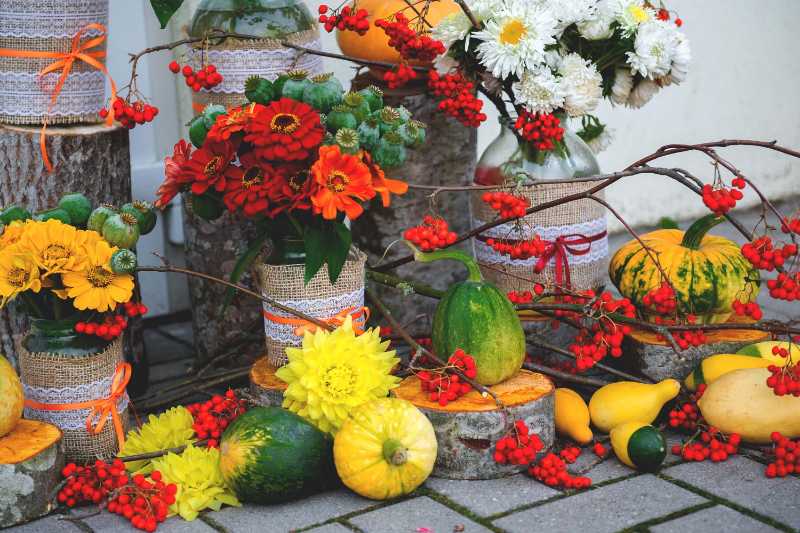 Multi colored flowers for sale