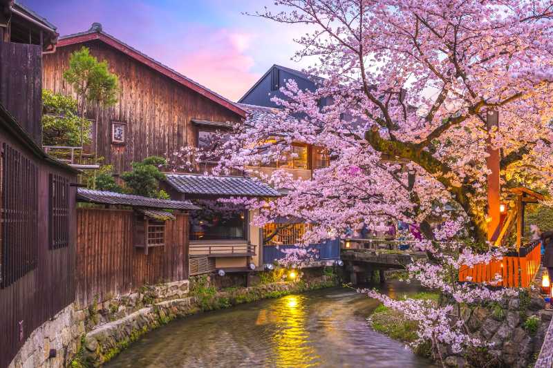 祗园白川的夜景