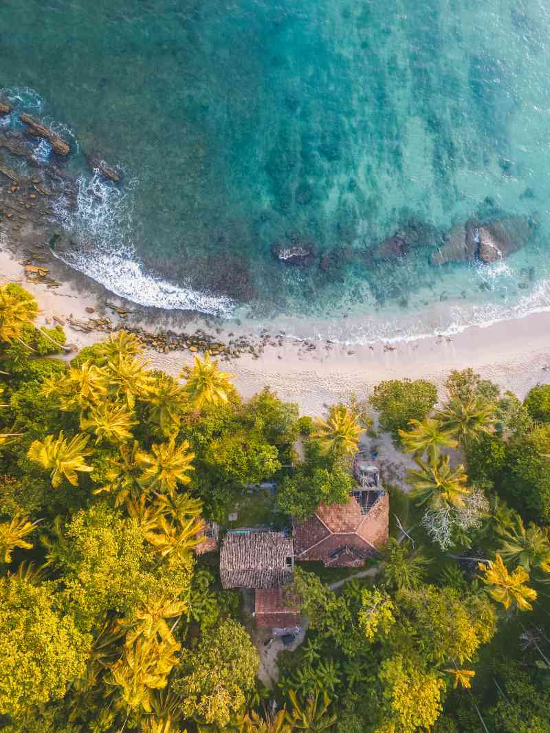 bird eye photogrpahy of beachline beside trees - jigsaw puzzle