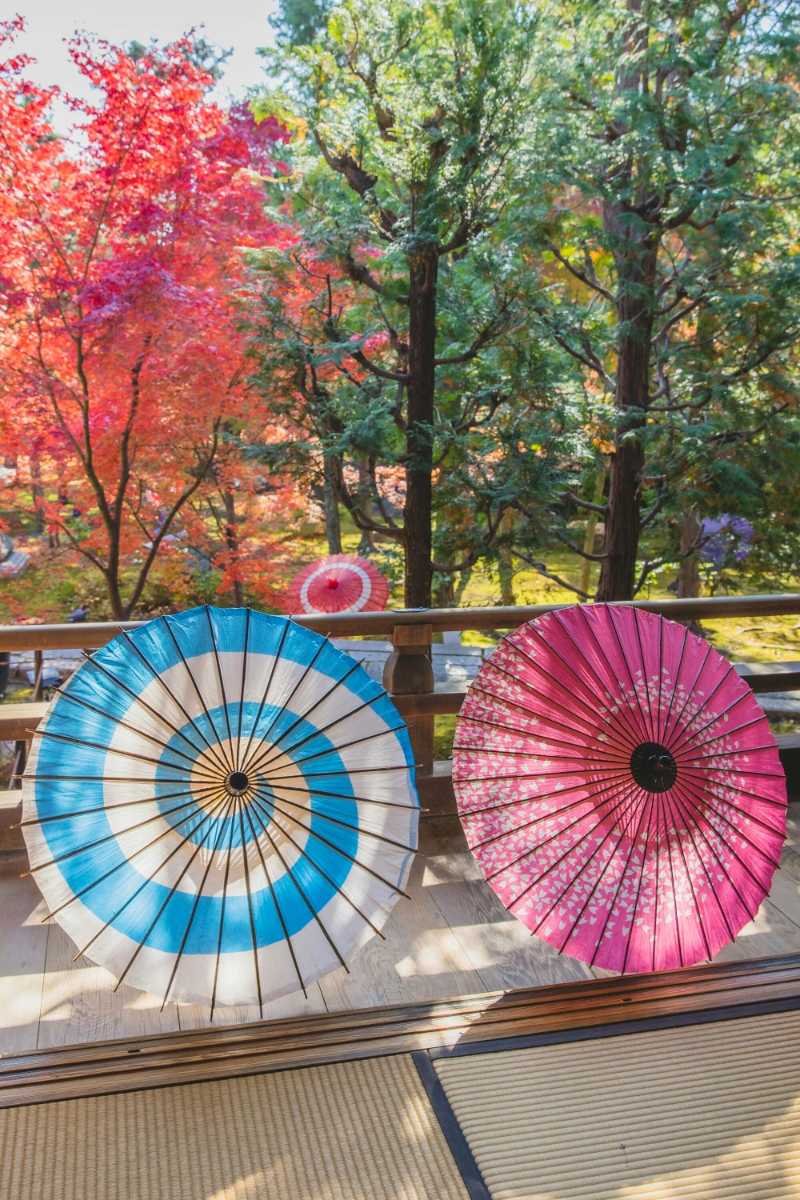 Japanische Papierschirme auf der Terrasse und im Wald