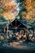 a cabin in the woods surrounded by trees - jigsaw puzzle