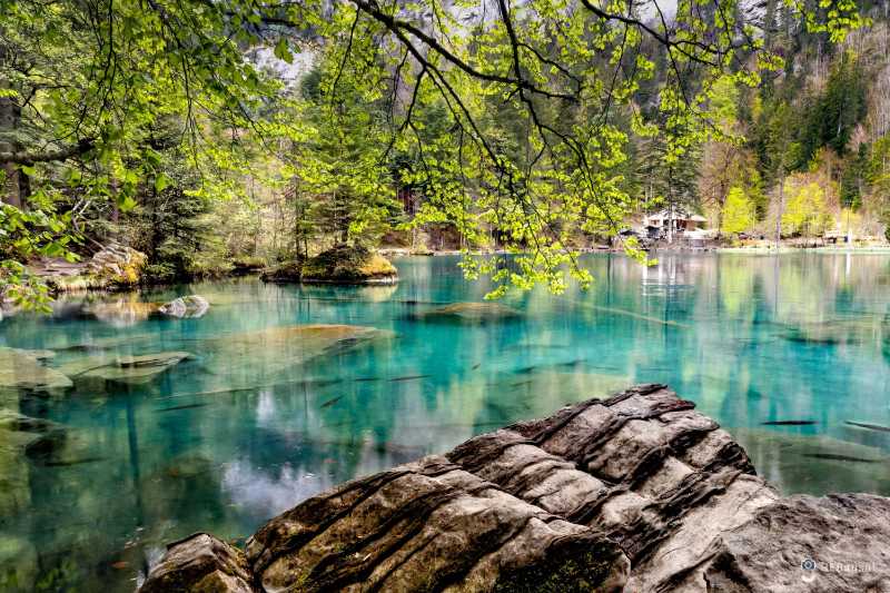 Photo of Lake During Daytime
