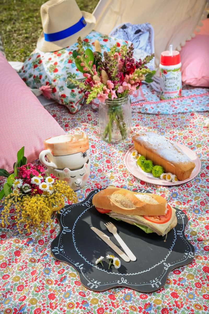 Picnic lunch in the park sandwiches apples and flowers