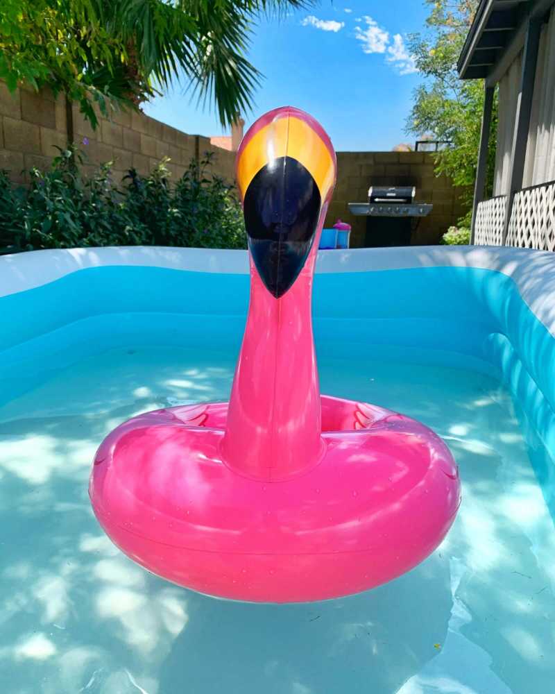 Rosa Flamingo-Schwimmring im Hinterhof