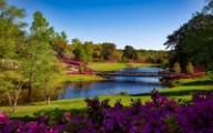 green leafed tree beside body of water during daytime - jigsaw puzzle