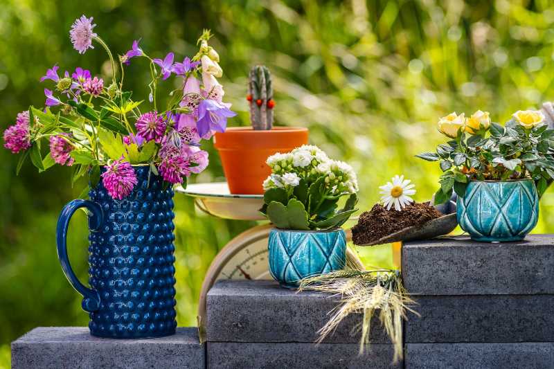 Période de plantation de fleurs pendant l'été dans le jardin