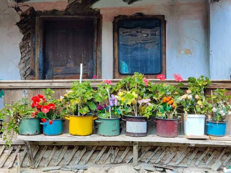 Colorful Potted Flowers on a Rustic Wooden Porch