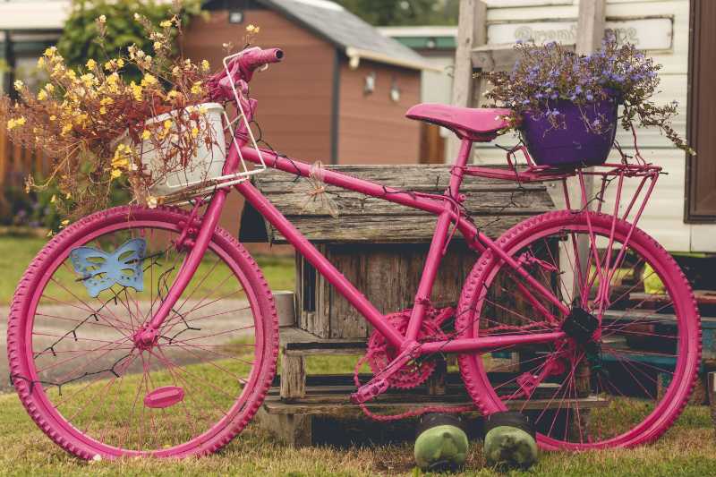 Potted Flowering Plants on a Pink Bicycle