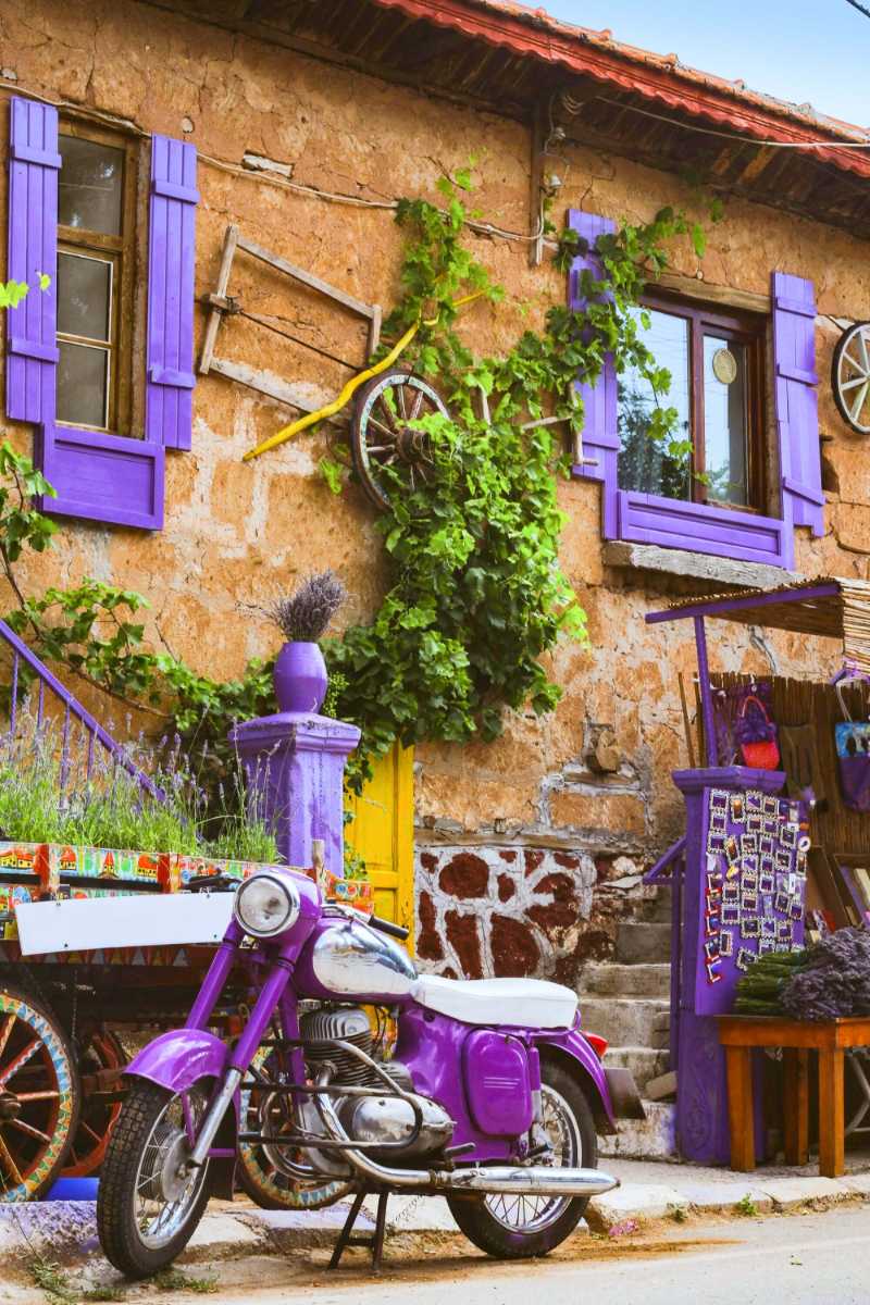 Purple classic motorcycle outside a purple exterior wall