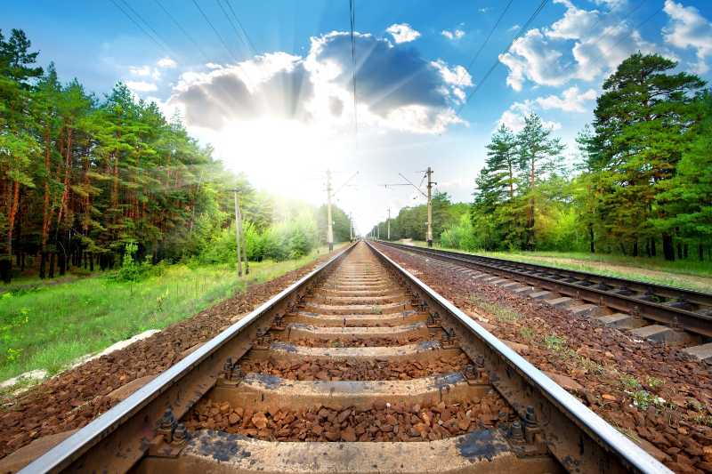 緑の松林を通る鉄道