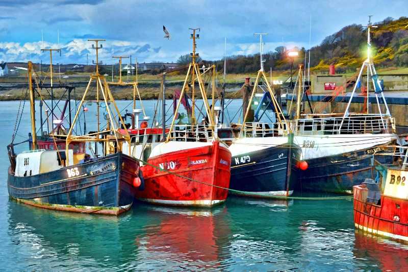Rote blaue und weiße Fischerboote am Dock während des Tages