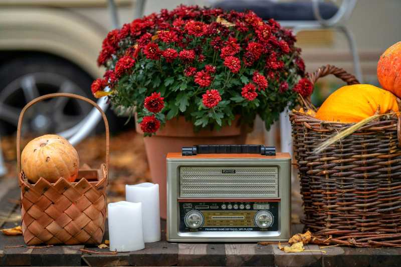 Retro Radio Set next to Pot of Red Flowers