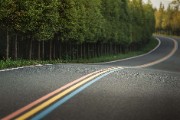 winding road forest nature - jigsaw puzzle