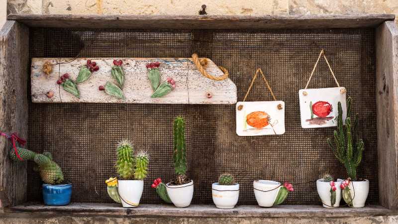 Rustic Shelf Display with Potted Cacti and Succulent Art
