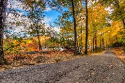 Scenic Autumn Road Through a Colorful Forest - jigsaw puzzle