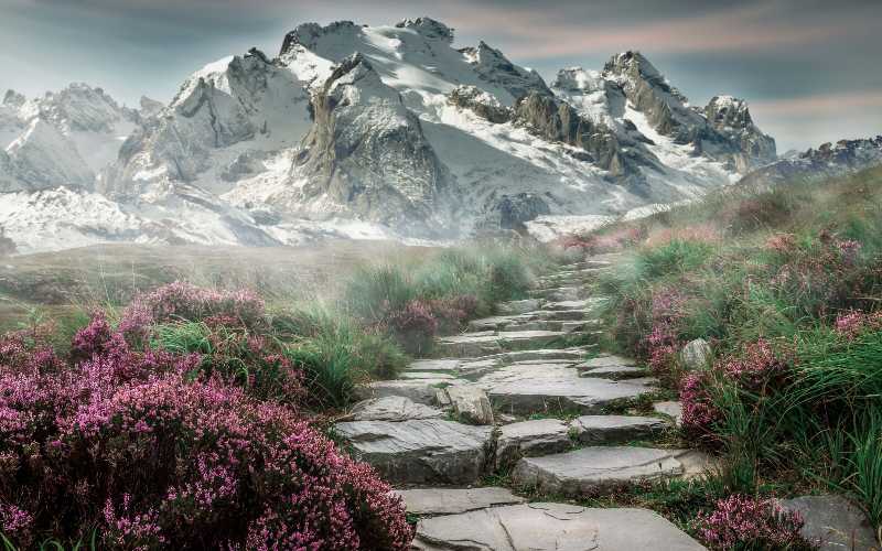 Trilha panorâmica na montanha com flores roxas e picos nevados