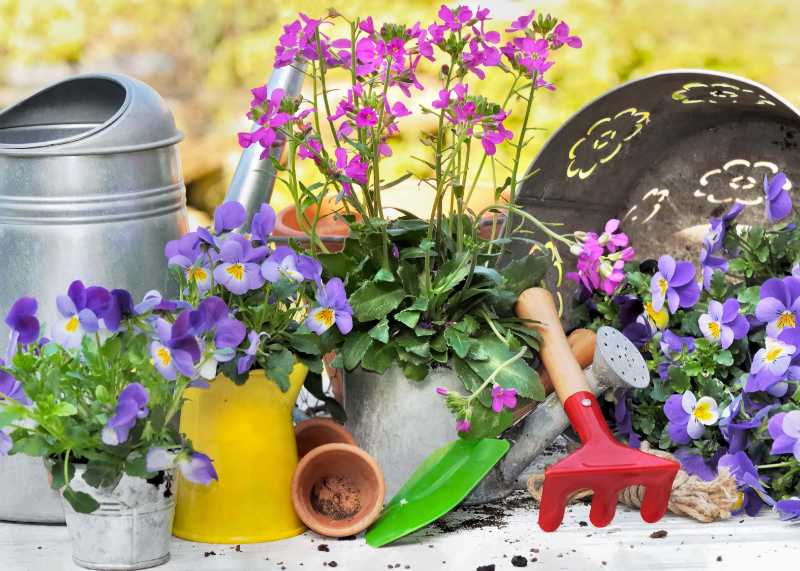 Frühlingsgartengeräte und Blumen auf einem rustikalen Tisch