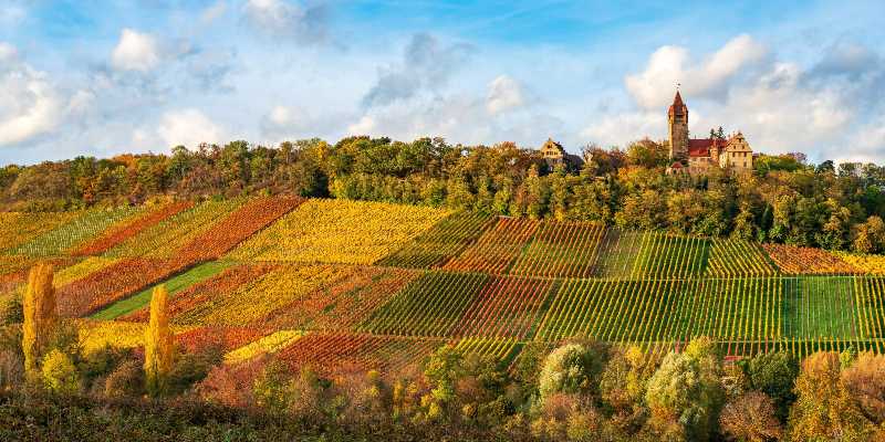 Stocksberg castle with its famous vineyards in the autumn