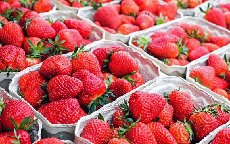 strawberries fruit market food - jigsaw puzzle